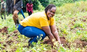 tree planting